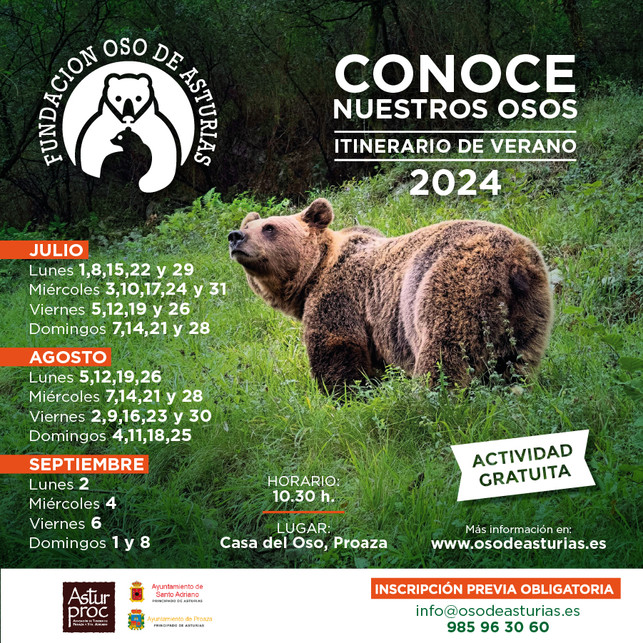 Abiertas las inscripciones para los itinerarios de verano “Conoce nuestros osos”, organizados por la Fundación Oso de Asturias